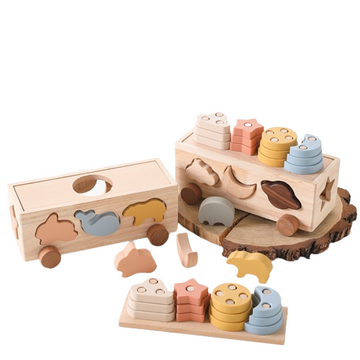 Montessori Wooden Sorting Blocks